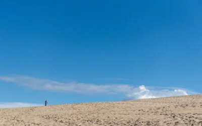 Série « Petit Prince » – Si un jour