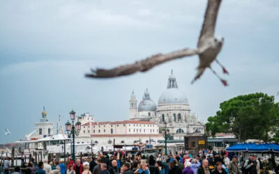 La mouette et l&rsquo;IA