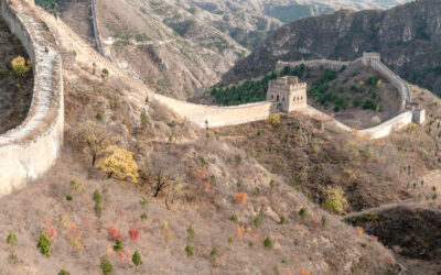 SAM – Jin Shan Lin