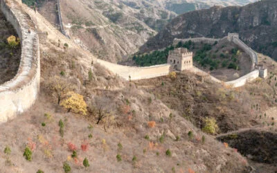 SAM – Jin Shan Lin
