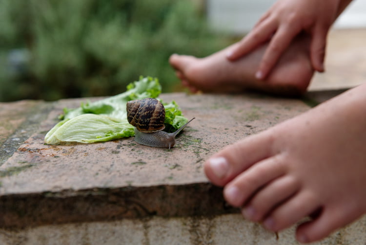 Un escargot devant les pieds d'un enfant