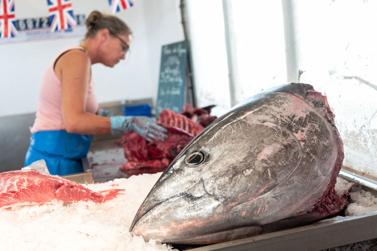 Tête de thon posée sur l'étal d'un poissonnier