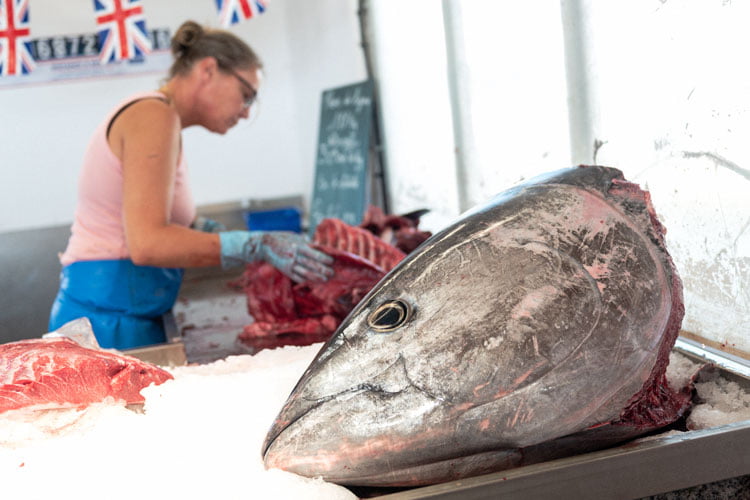 Tête de thon posée sur l'étal d'un poissonnier