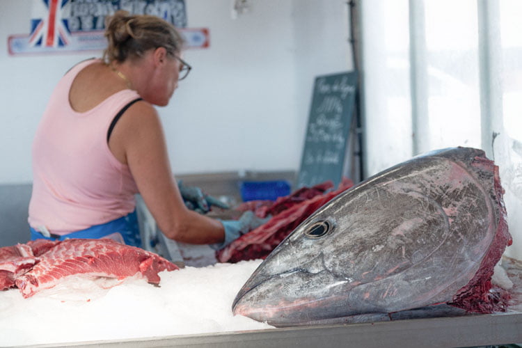 Tête de thon posée sur l'étal d'un poissonnier