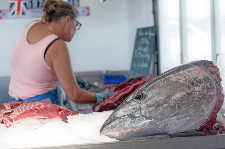 Tête de thon posée sur l'étal d'un poissonnier