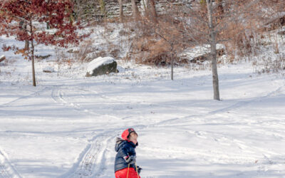 Un peu de luge sur la neige de central parc