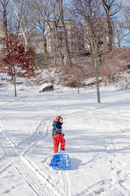 garçon tirant sa luge sur la neige à central parc